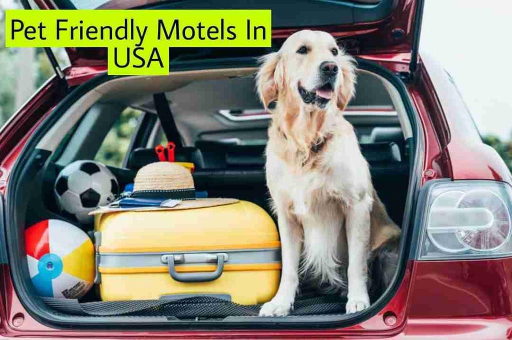 Pet Friendly Motels In USA